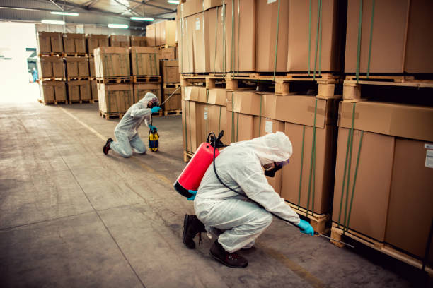 Best Best Pest Control Near Me  in Wellington, TX