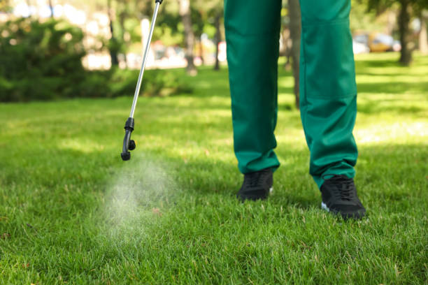 Best Best Pest Control Companies  in Wellington, TX