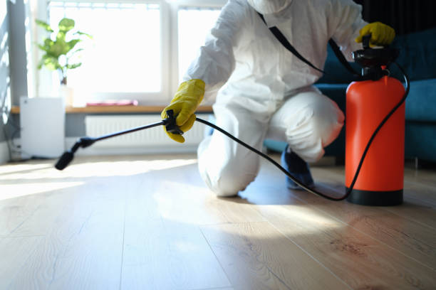Best Mosquito Control Services  in Wellington, TX