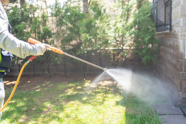 Best Rat Extermination Near Me  in Wellington, TX