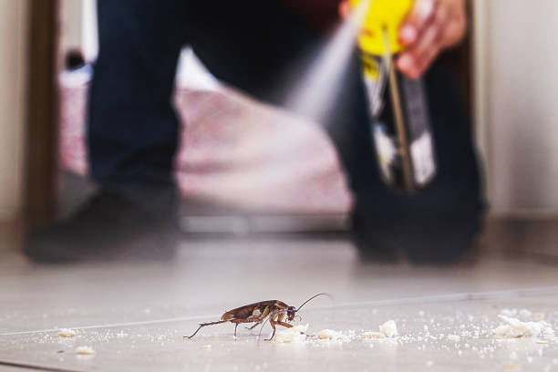 Professional Pest Control in Wellington, TX