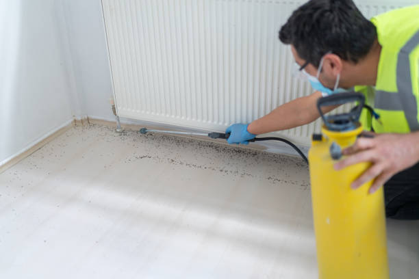 Best Pest Inspection Near Me  in Wellington, TX
