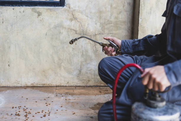 Best Local Pest Control Services  in Wellington, TX